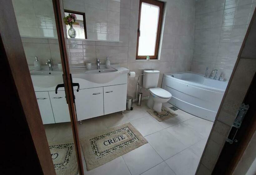 اتاق لوکس با بالکن, Casa De Vacanta Estera Rucar