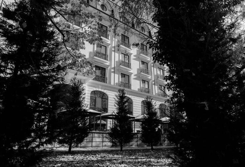 آپارتمان اجرایی 1 خوابه, Grand Hotel Sofianu
