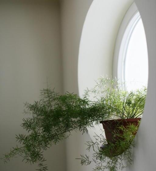 اتاق استاندارد یک نفره, Radun