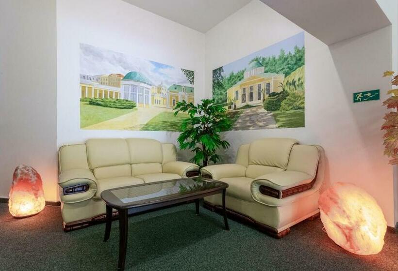 اتاق استاندارد یک نفره, Sanatorium Mariot