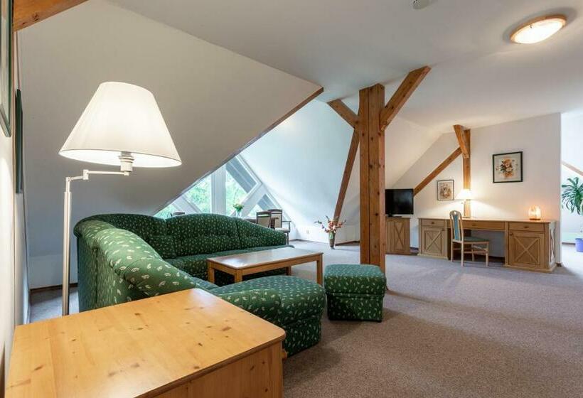 استودیوی استاندارد, Sanatorium Mariot