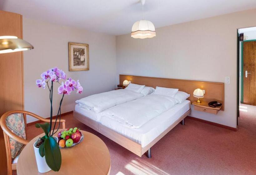 اتاق استاندارد, & Spa Cacciatori