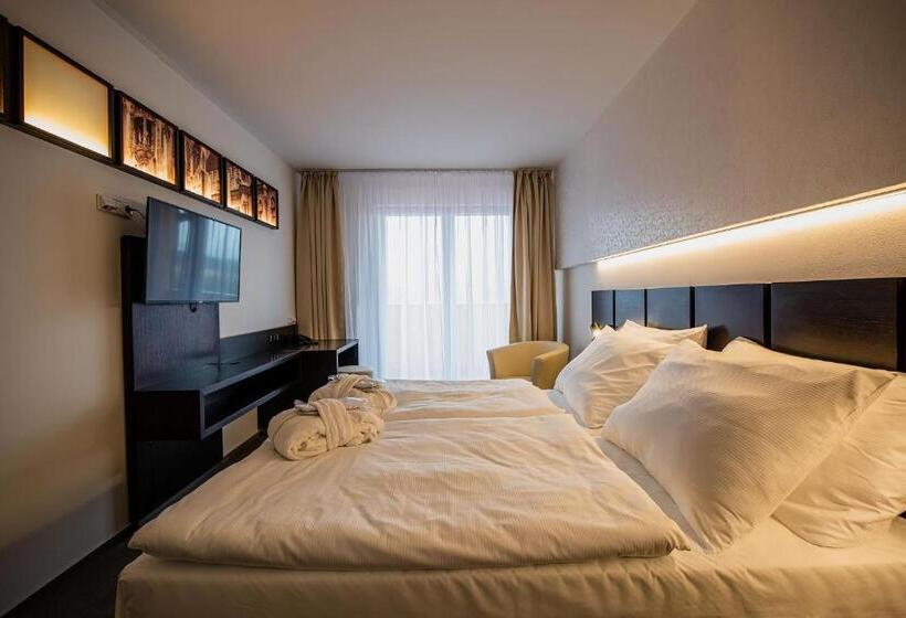 标准间, Wellness Hotel Frymburk