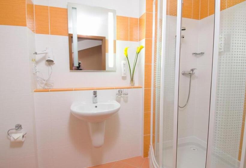 家庭间, Wellness Hotel Frymburk