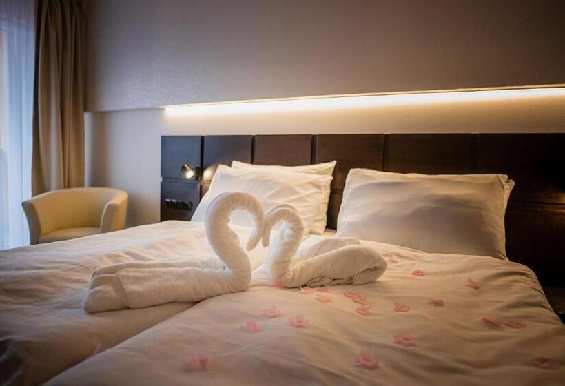 家庭间, Wellness Hotel Frymburk