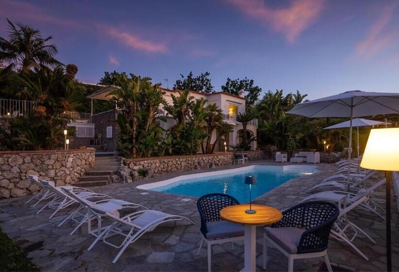 اتاق استاندارد با تخت بزرگ, Capri Blue Luxury Villa Le Tre Monelle
