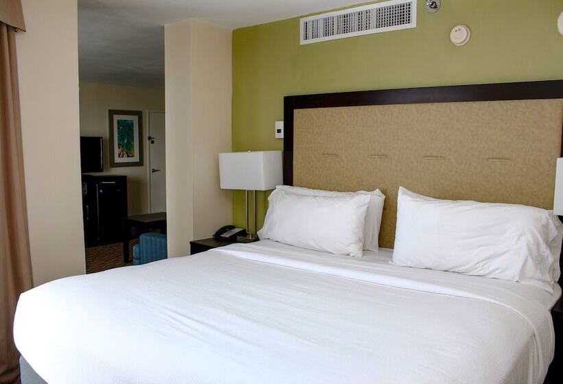 اتاق استاندارد با تخت دوبل و چشم‌انداز, Holiday Inn Corpus Christi Downtown Marina, An Ihg