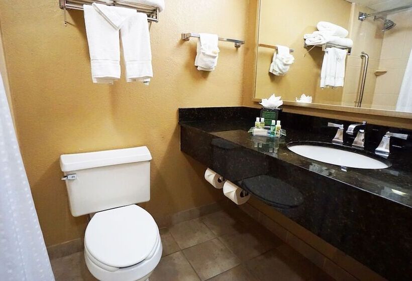 سوئیت با چشم‌انداز, Holiday Inn Corpus Christi Downtown Marina, An Ihg