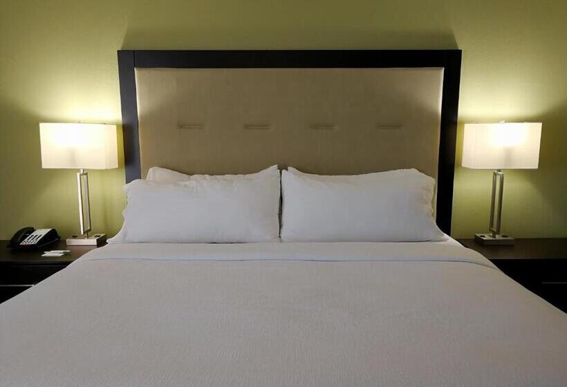 اتاق استاندارد با تخت بزرگ, Holiday Inn Corpus Christi Downtown Marina, An Ihg