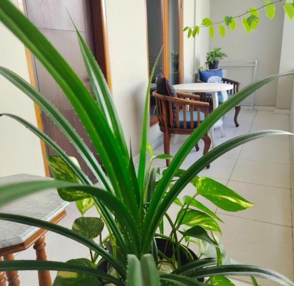 Номер Superior Кровать Кинг, Su S Cottages Legian