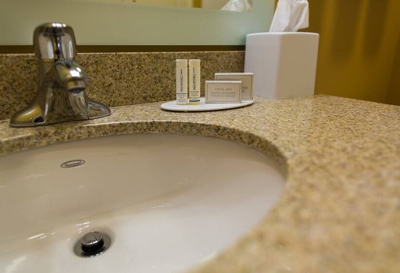 Студия Стандарт, Towneplace Suites By Marriott Lancaster