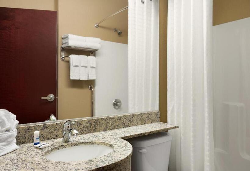 디럭스 스위트, Microtel Inn And Suites Carrollton