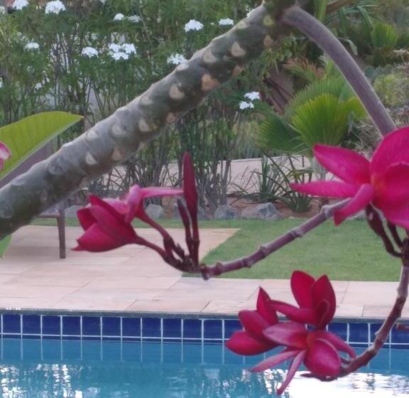디럭스 룸, Vila Saguaro