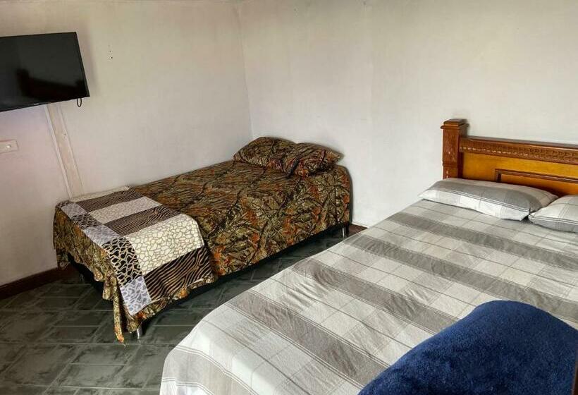 Номер Стандарт Индивидуальный, Hostal Hollywood Inn Ii