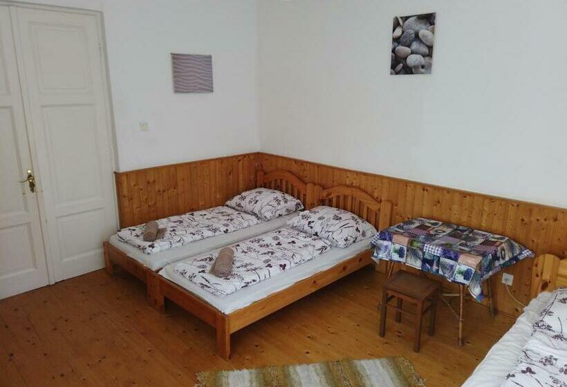 آپارتمان 1 خوابه همکف, Vicze Apartmanház