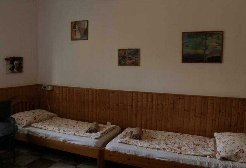 آپارتمان 1 خوابه همکف, Vicze Apartmanház