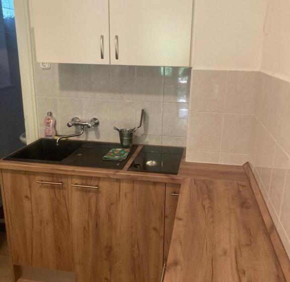 اتاق استاندارد با تراس, Vicze Apartmanház