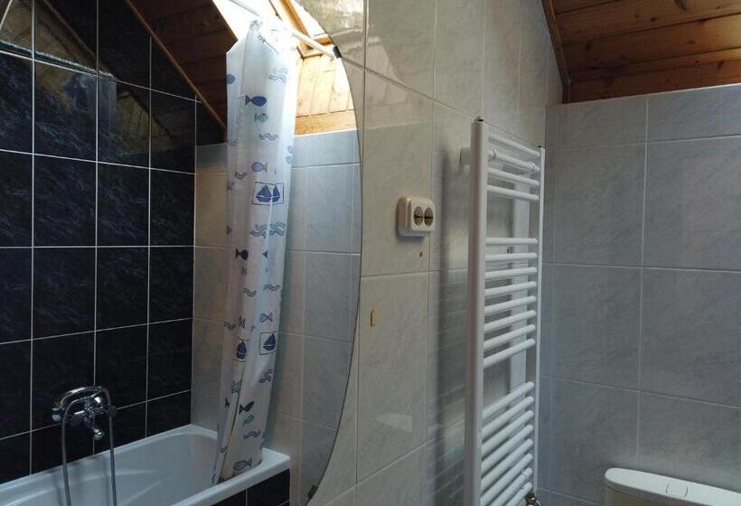آپارتمان 1 خوابه با بالکن, Vicze Apartmanház