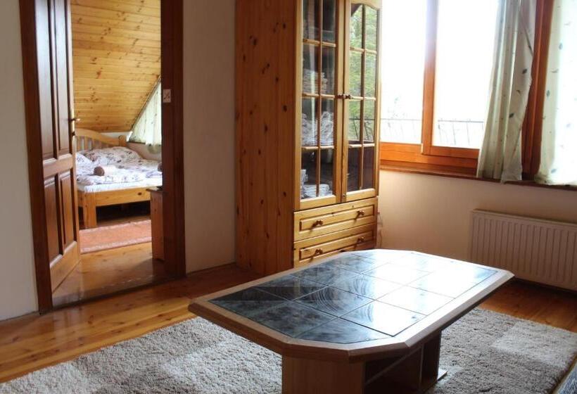 اتاق استاندارد, Vicze Apartmanház