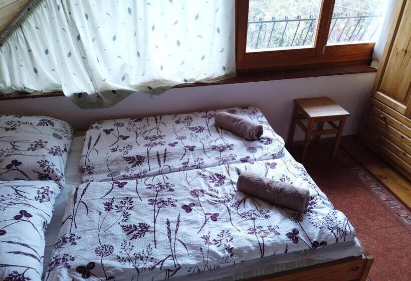 اتاق استاندارد, Vicze Apartmanház