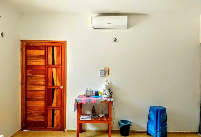 اتاق استاندارد, Casa Coral