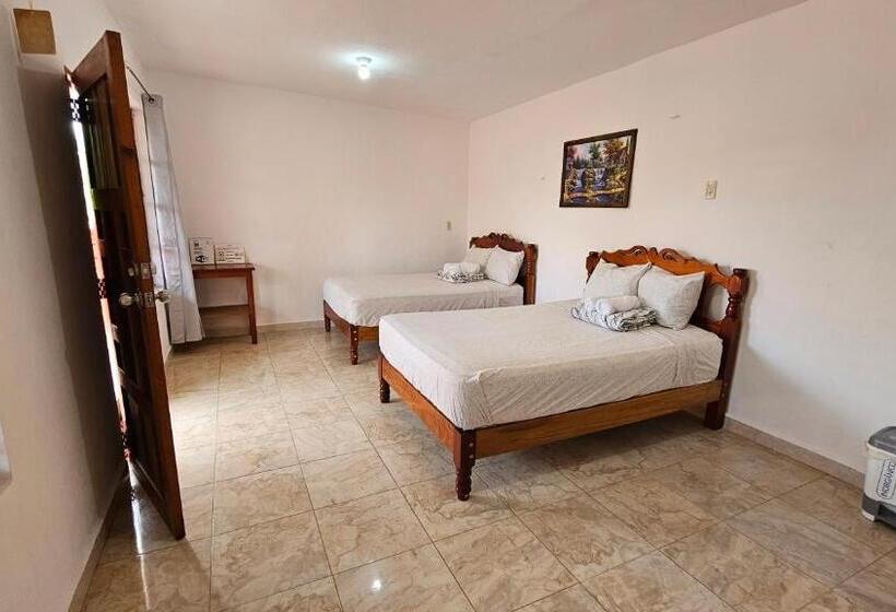 اتاق کلاسیک چهارنفره, Casa Coral