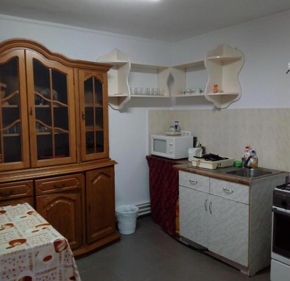 اتاق استاندارد سه نفره, Ibolya Imola