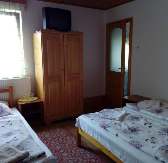اتاق استاندارد سه نفره, Ibolya Imola