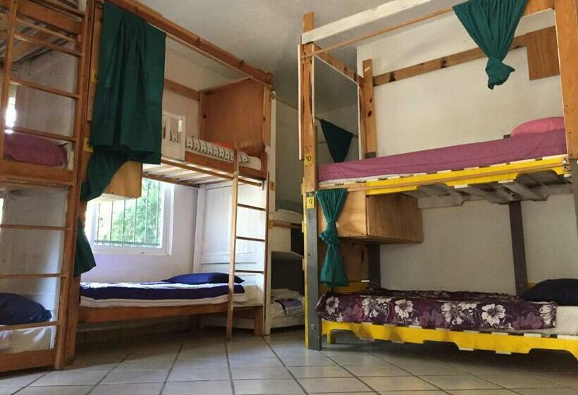 سرير فى غرفة مشتركه, Ekko Hostel