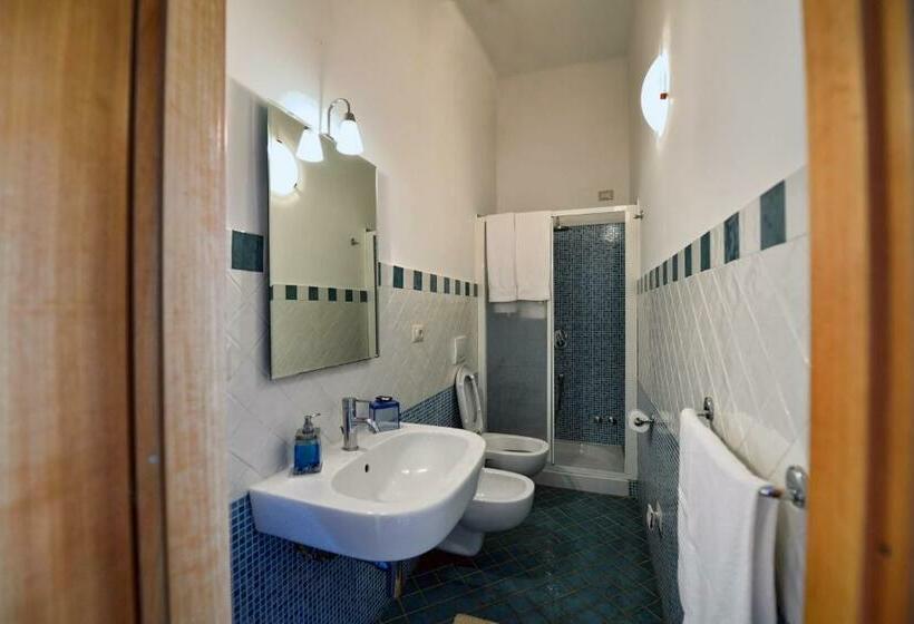 Номер Стандарт, B&b Iris