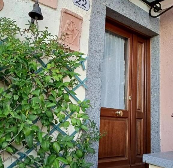 Номер Стандарт, B&b Bellavista
