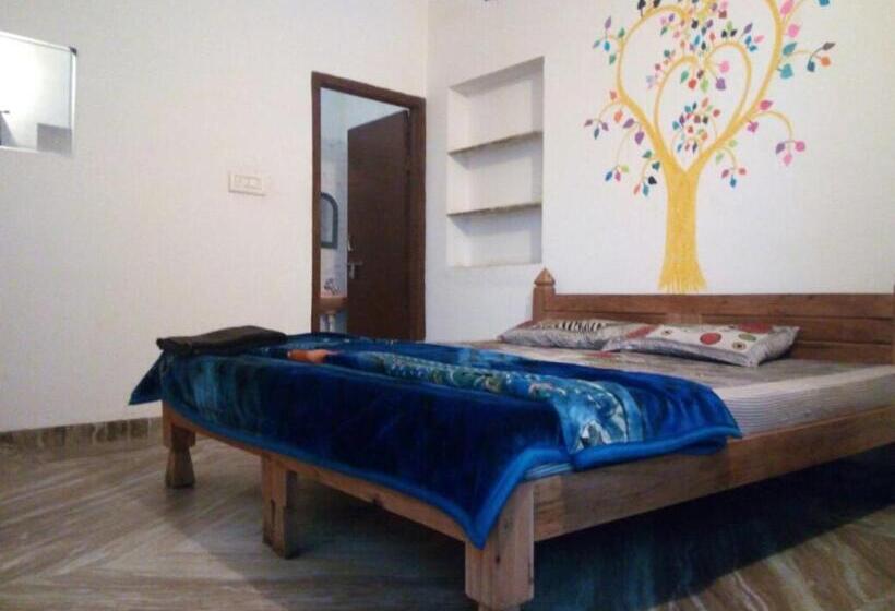 اتاق لوکس, Suri Guest House