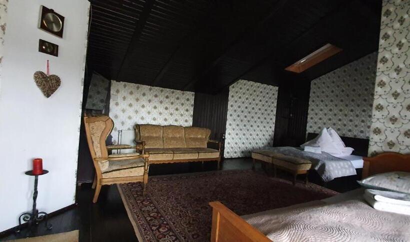 Suite with Terrace, Pensiunea Orhideea