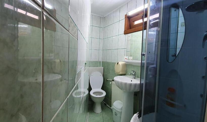 اتاق استاندارد سه نفره, Pensiunea Orhideea