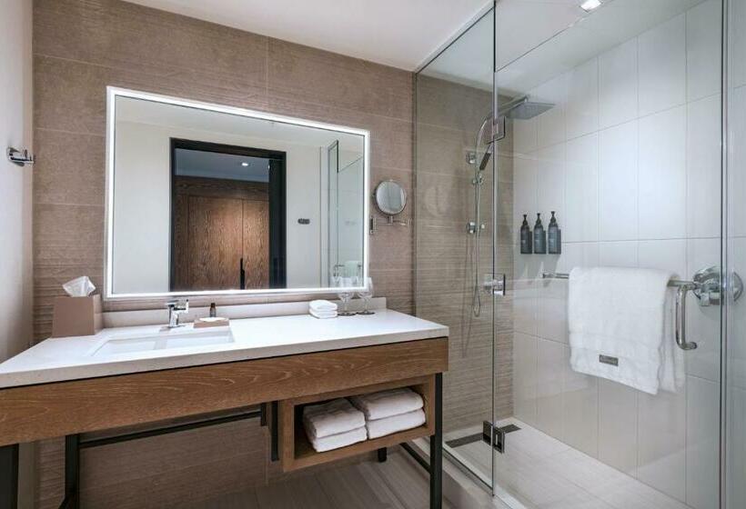 Номер Классический Вид на Город, The Westin Dallas Southlake