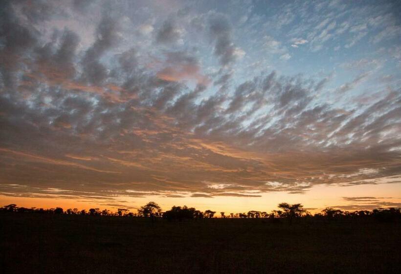 带大床的标准间, Four Seasons Safari Lodge Serengeti