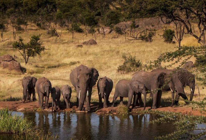 带大床的套房, Four Seasons Safari Lodge Serengeti