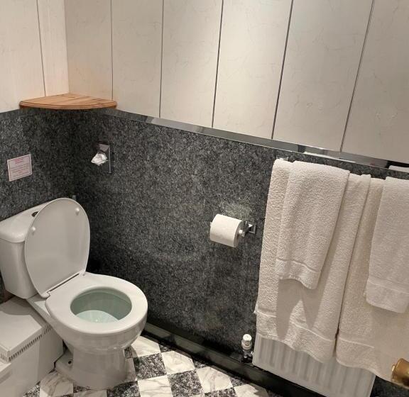 Номер Стандарт Адаптированный для Инвалидов, Bron Menai Guest House