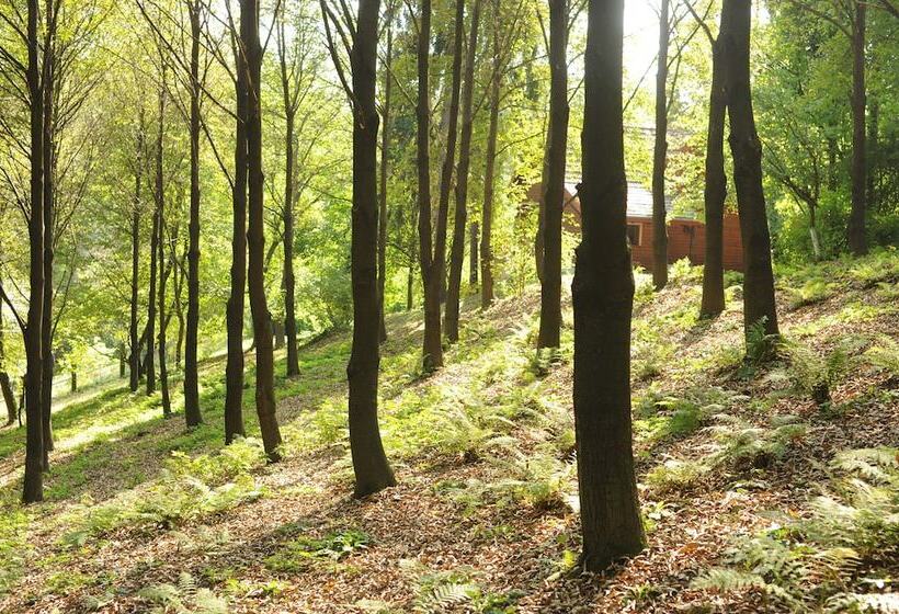 Шале 1 Спальня, Ekosamotnia Eco Dream Pension