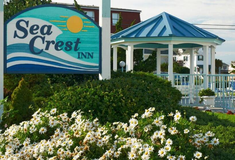 스탠다드 룸, Sea Crest Inn