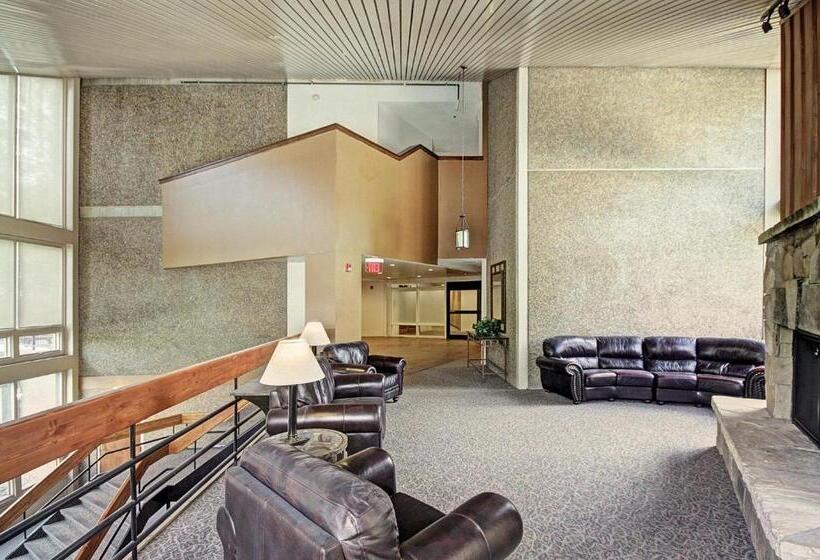 استودیوی استاندارد, Mp518 Mountain Plaza Hotel Room
