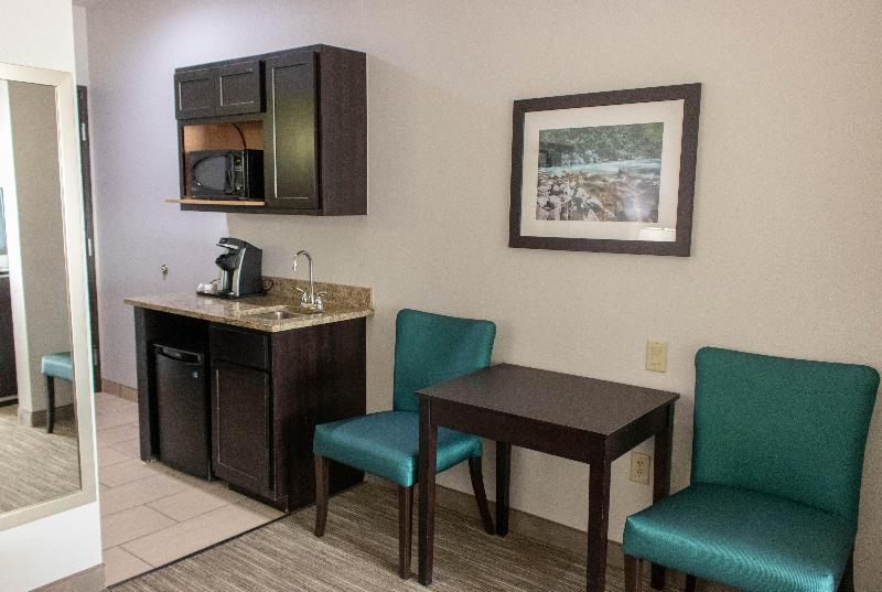 스위트, Holiday Inn Express Hotel & Suites Temple Medical Center Area, An Ihg