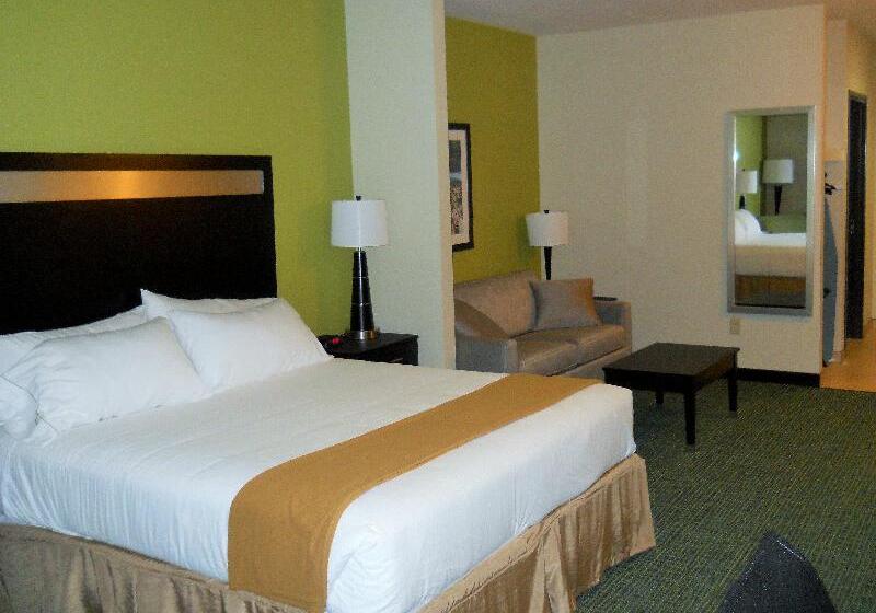 Suíte Cama King, Holiday Inn Express Hotel & Suites Temple Medical Center Area, An Ihg
