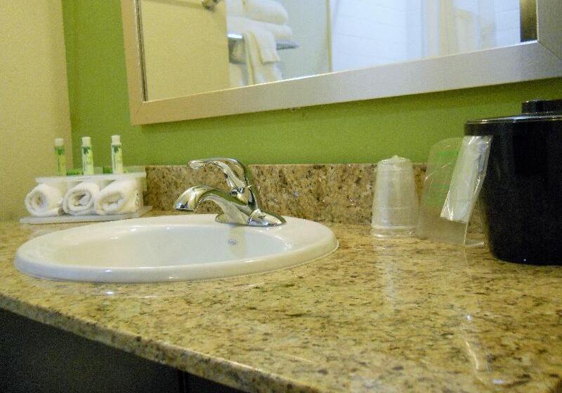 스탠다드 룸 킹사이즈 침대, Holiday Inn Express Hotel & Suites Temple Medical Center Area, An Ihg