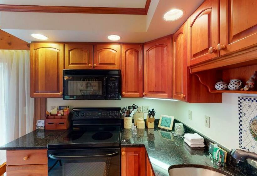 Апартаменты 3 Спальни, Bromley Mountain Condo Cd2