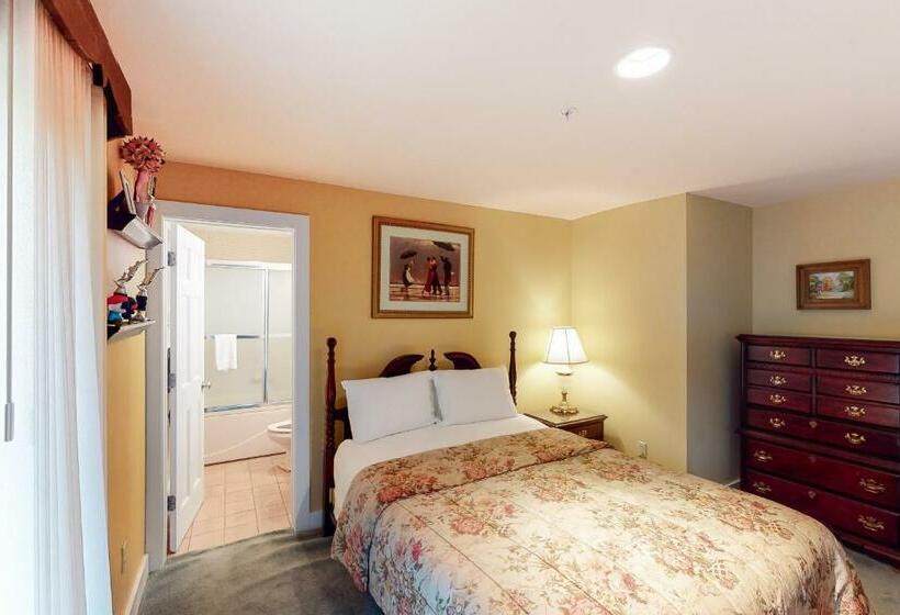 Апартаменты 3 Спальни, Bromley Mountain Condo Cd2
