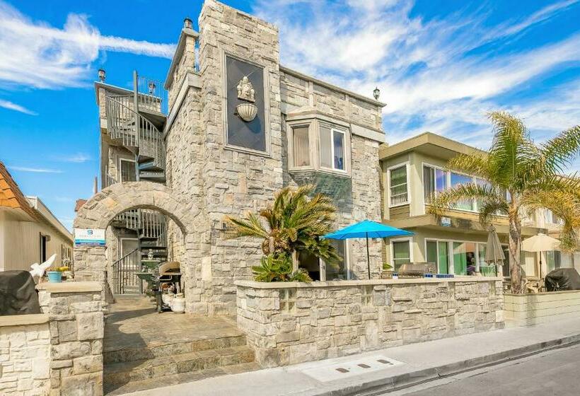 ３ベッドルームアパートメント, Newport Family Castle