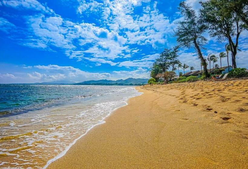 스탠다드 스튜디오, Islander On The Beach 361