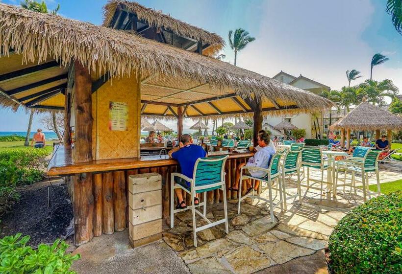 스탠다드 스튜디오, Islander On The Beach 361