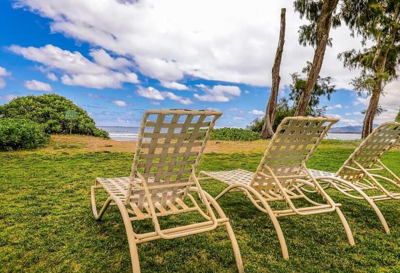 스탠다드 스튜디오, Islander On The Beach 361